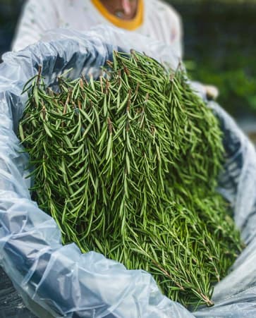 Minimal interior with large window and vase