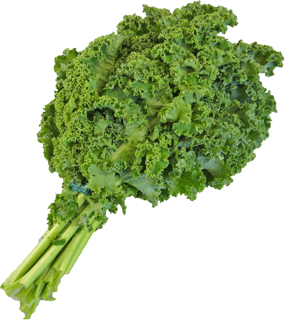 ผักเคล (Kale)